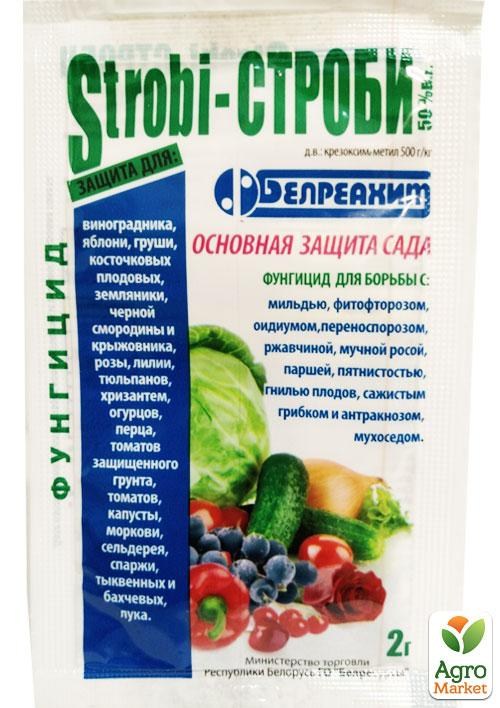 Фунгіцид "Строби" ТМ "Белреахім" 2г