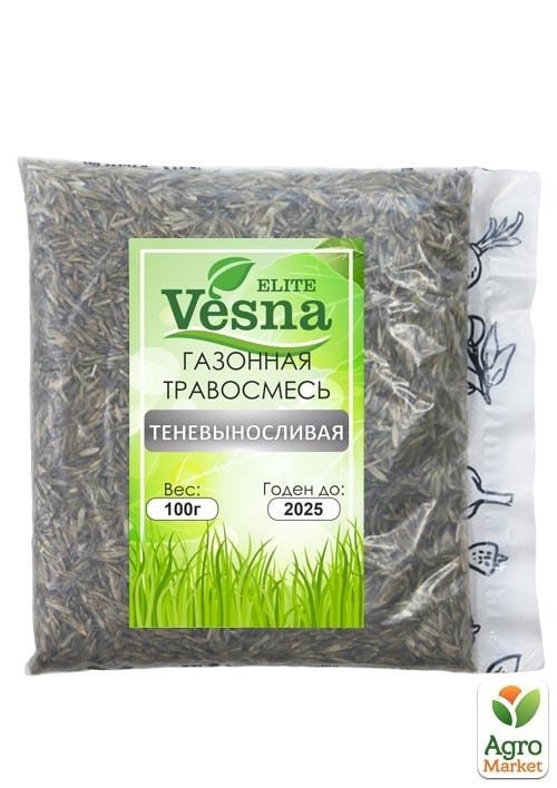 Газонная травосмесь "Теневыносливая" ТМ "Vesna Elite" 100г