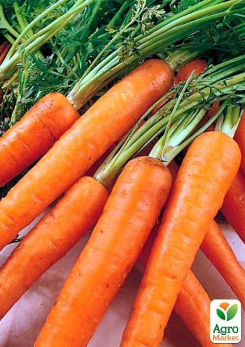 Морковь "Император" (Зипер) ТМ "Весна" 5г - фото 4