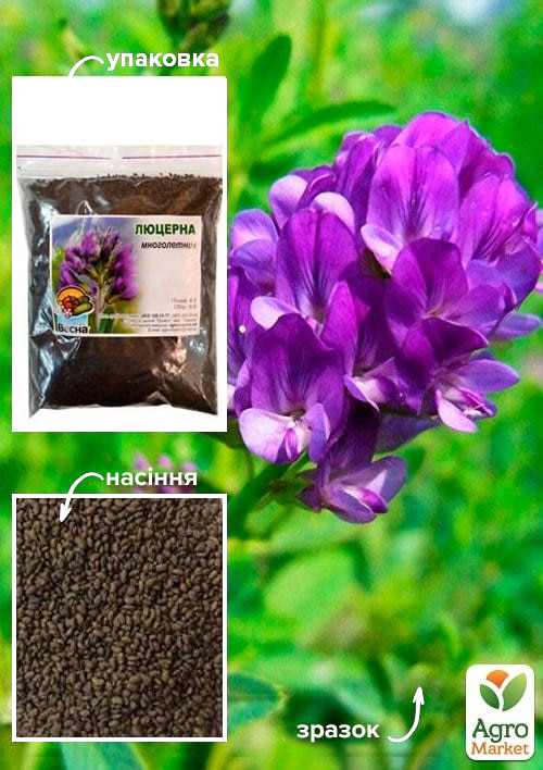 Люцерна обработанная (магниченная) "Зарница" ТМ "Весна" 100г