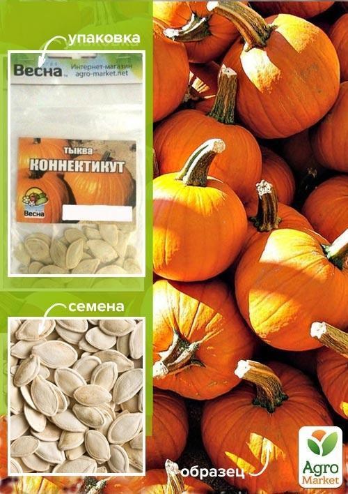 Тыква "Коннектикут" (Зипер) ТМ "Весна" 5г