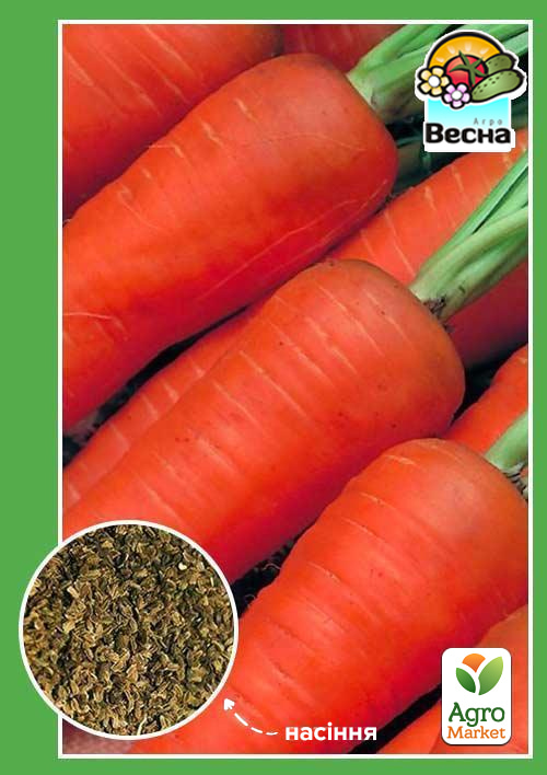 Морква "Амстердамська" ТМ "Весна" 2г