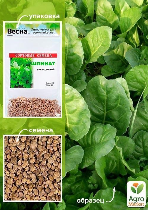 Шпинат (Зипер) ТМ "Весна" 5г