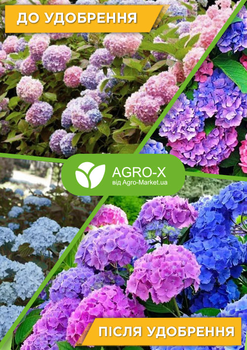 Мінеральне добриво BIOHYPER EXTRA "Для гортензій" (Біохайпер Екстра) ТМ "AGRO-X" 100г
