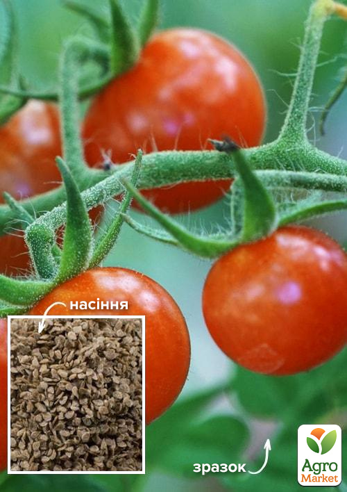 На развес Томат "Черри канапе" ТМ "Весна" цена за 1г