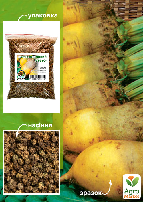 Буряк Кормовий "Урсус" ТМ "Весна" 500г