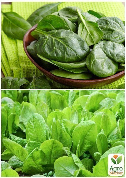 На вагу Шпинат "Застольний" ТМ "Весна" ціна за 7г - фото 2