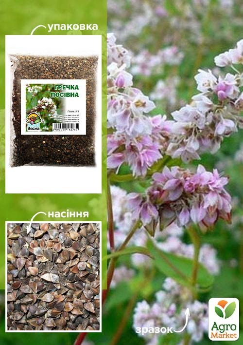 Гречка посівна ТМ "Весна" 1кг