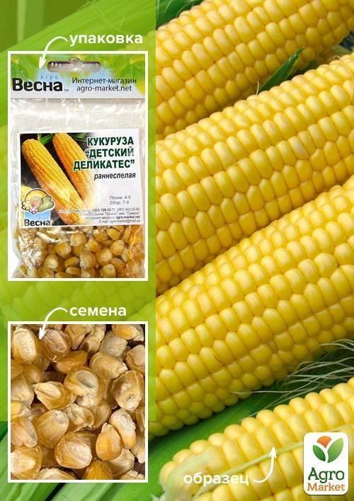 Кукурудза "Дитячий делікатес" (Зипер) ТМ "Весна" 15г