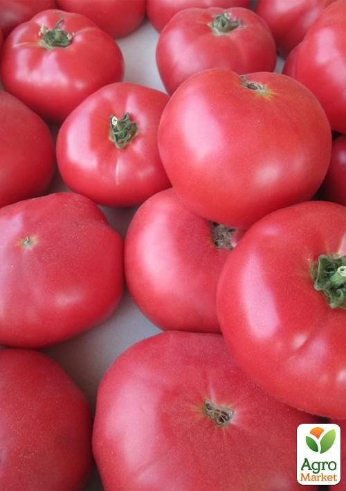 Томат "Сахарный пудовичок" ТМ "Vesna Select" 0.2г