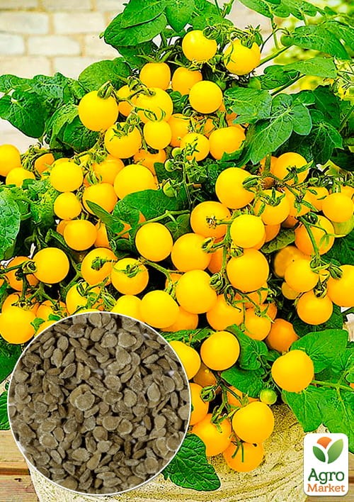 На вагу Томат "Ацтек" ТМ "Весна" ціна за 1г