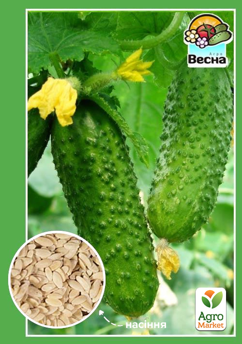 Огірок "Виноградне Гроно F1" ТМ "Весна" 0.5г