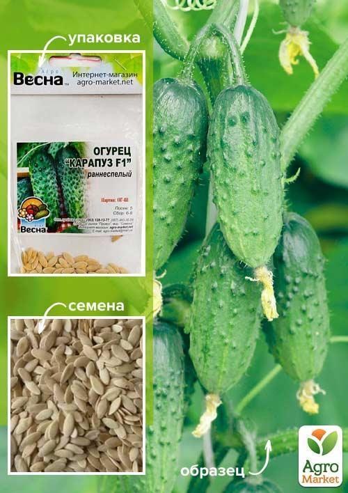 Огірок "Карапуз F1" (Зипер) ТМ "Весна" 0,5г