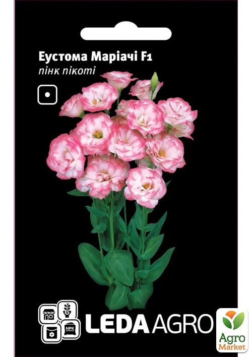 Еустома "Маріачі F1", пінк пікоті ТМ "Leda Agro" 5шт