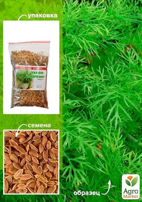 Укроп "Амброзия" ТМ "Весна" 100г
