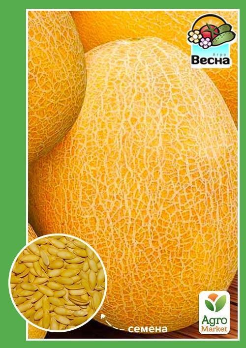 Диня "Берегиня" ТМ "Весна" 1,5г