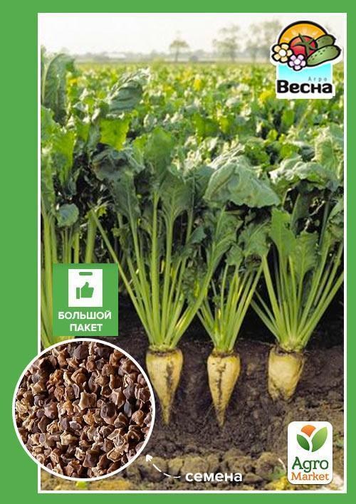 Свекла "Сахарная" (Большой пакет) ТМ "Весна" 8г