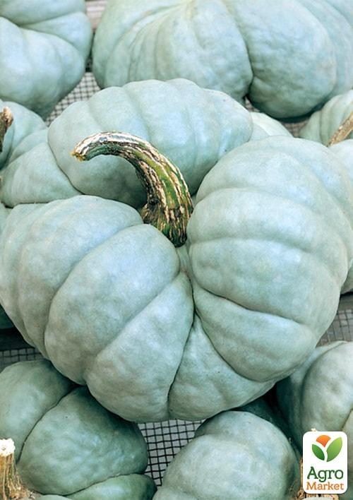 Тыква "Триамбл" (в банке) ТМ "Весна Органик" 10шт