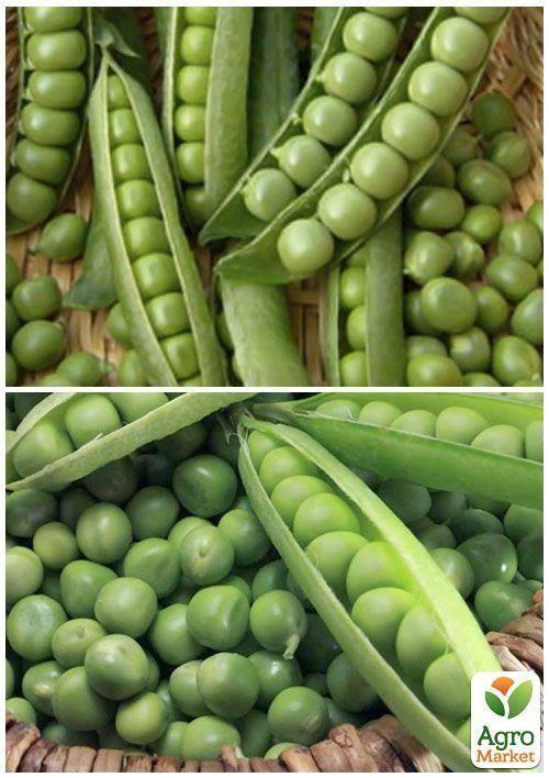 На развес Горох "Сахарный стручок" ТМ "Весна" цена за 50г - фото 4
