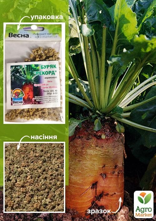 Свекла кормовая "Рекорд" (Зипер) ТМ "Весна" 10г