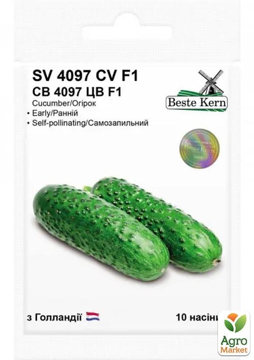 Огурец "СВ 4097 ЦВ F1" ТМ "Beste Kern" 10шт