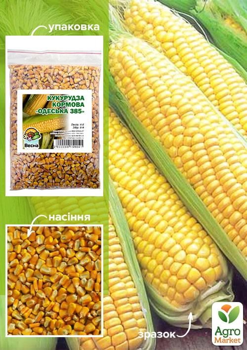 Кукуруза кормовая "Одесская 385" ТМ "Весна" ЦЕНА ЗА 1КГ