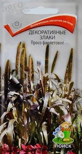 Декоративні злаки "Просо фіолетове" ТМ "Пошук" 0.2г