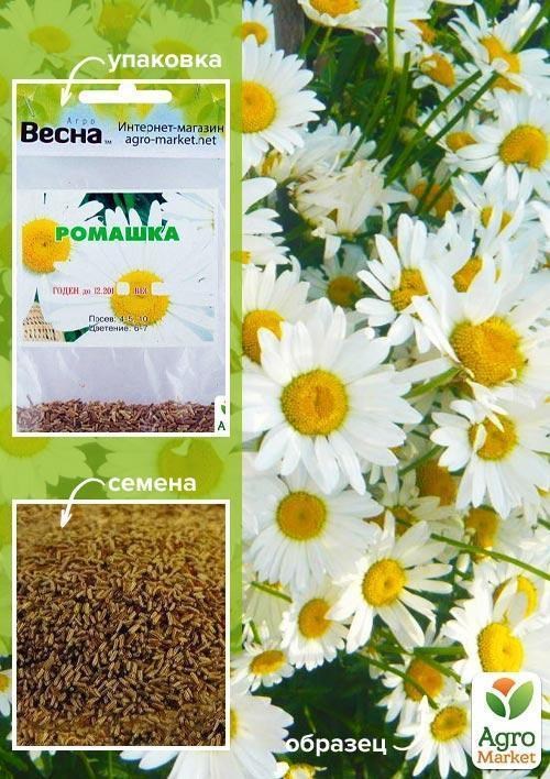 Ромашка "Біла" (Зипер) ТМ "Весна" 2г