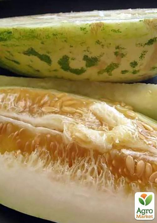 Огурдыня "Фазано" ТМ "Vesna Select" 5шт - фото 3