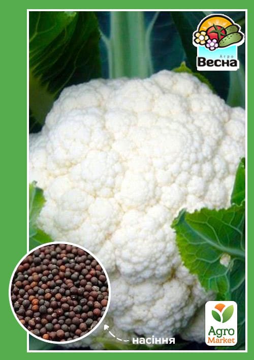 Капуста цвітна "Чотири сезони" ТМ "Весна" 0.3г