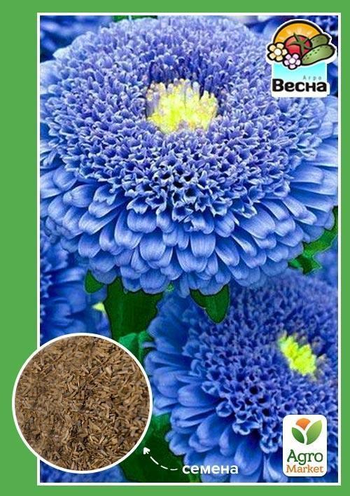 Астра "Кристина" ТМ "Весна" 0.2г