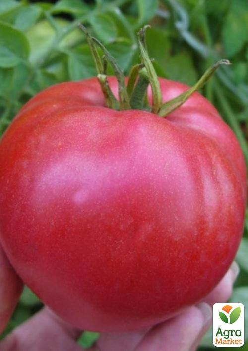 Томат "Эрцгерцог" ТМ "Vesna Select" 0.2г