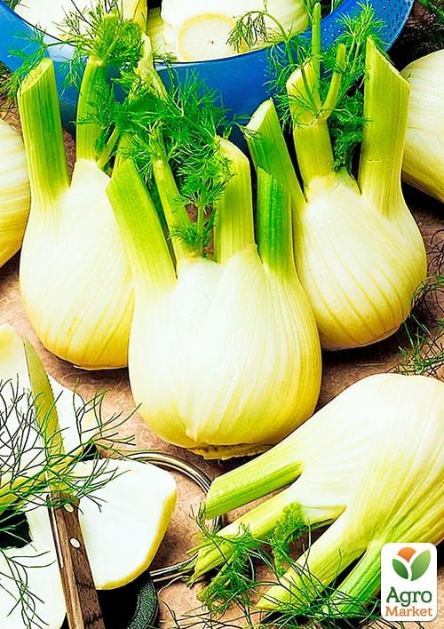 Фенхель (Большой пакет) ТМ "Весна" 4г - фото 2