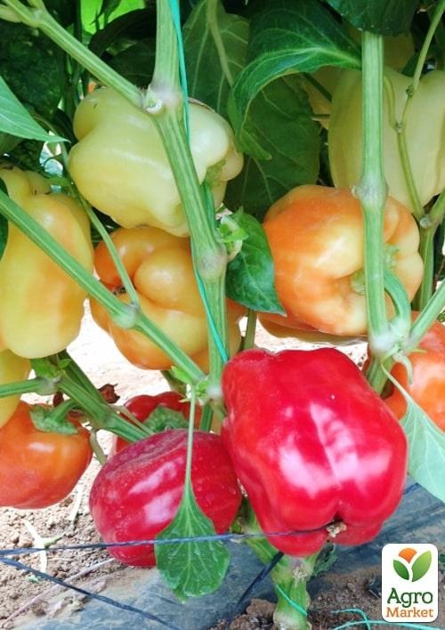 Перец "Аида F1" ТМ "Lark Seeds" 500шт