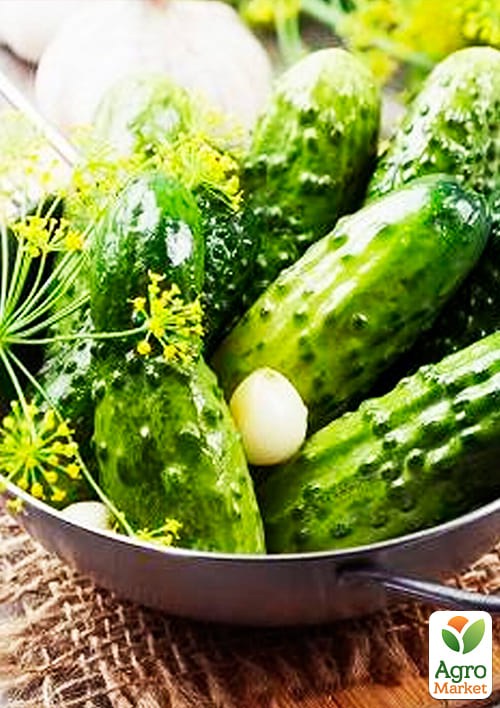 На развес Огурец обработанный "Гейм" ТМ "Весна" цена за 1г - фото 2