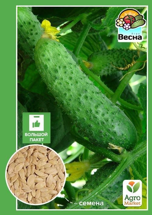 Огурец "Парижский корнишон" (Большой пакет) ТМ "Весна" 2г