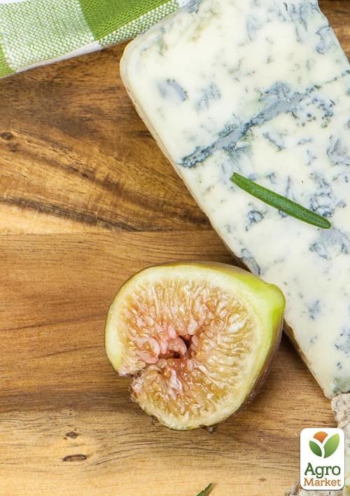 Инжир "Далматский" (Турецкий белый) с плодом (возраст 1,5 года)