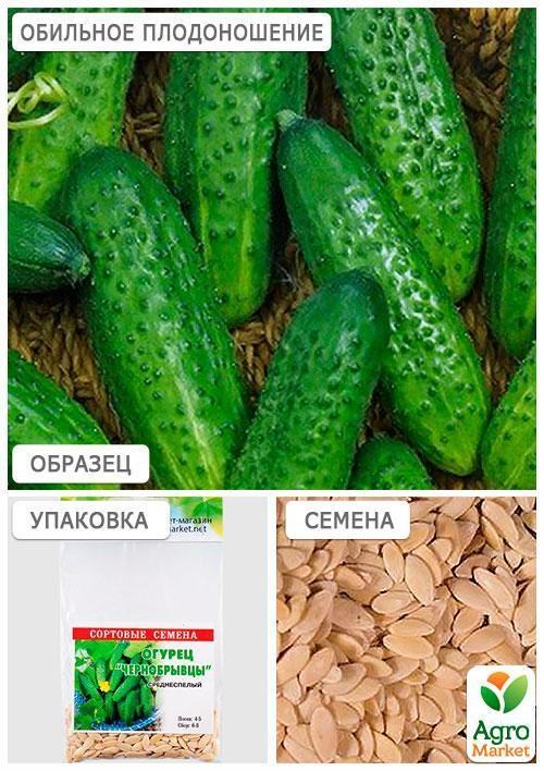 Огурец "Чернобрывцы" (Зипер) ТМ "Весна" 2г - фото 3