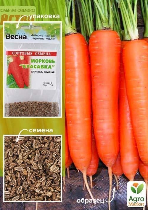 Морковь "Красавка" (Зипер) ТМ "Весна" 5г