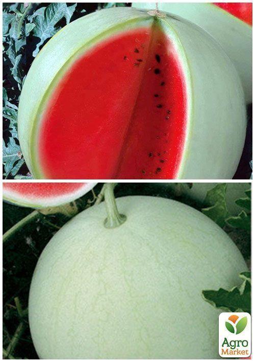 На вагу Кавун "Бінго" ТМ "Весна" ціна за 6г - фото 5