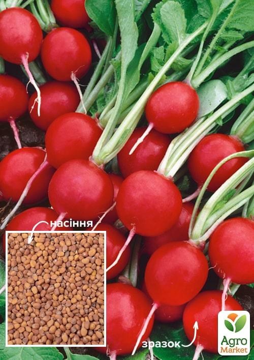 Редис "Сора" (Зіпер) ТМ "Весна" 7г
