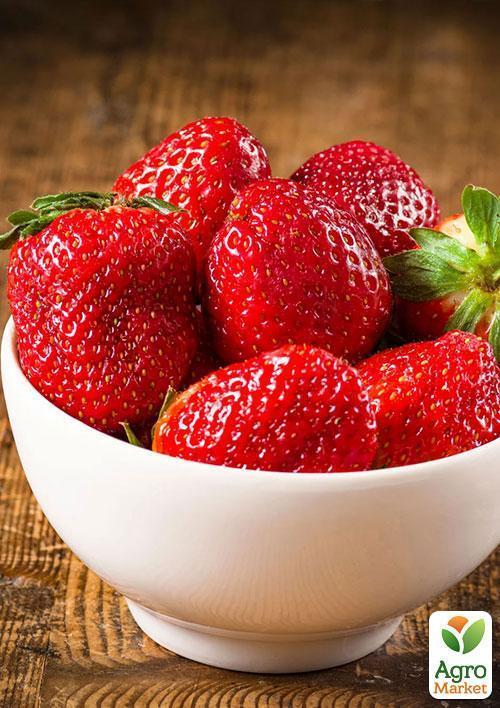 Клубника "Альба" (Alba) (ранний срок созревания, высокопродуктивный сорт) - фото 9