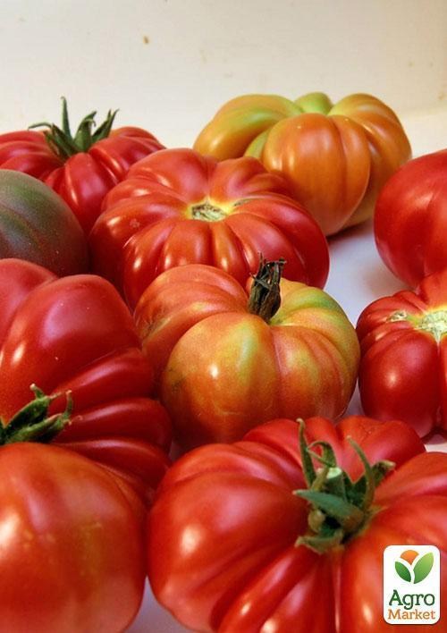 Томат "Монсеррат Кабалье" ТМ "Vesna Select" 0,2г