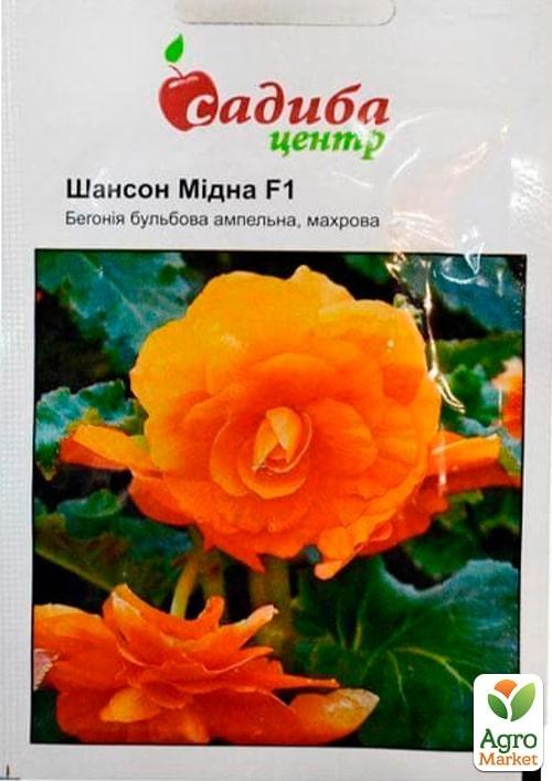 Бегонія "Шансон F1 мідна" ТМ "Садиба центр" 10шт