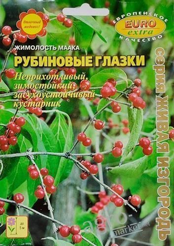 Жимолость маака "Рубінові очі" ТМ "Аеліта"