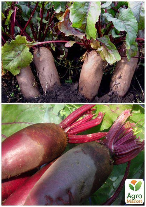 На развес Свекла "Опольская" ТМ "Весна" цена за 10г - фото 3