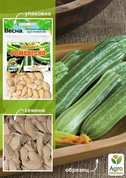 Кабачок "Романеско" (Зипер) ТМ "Весна" 5г