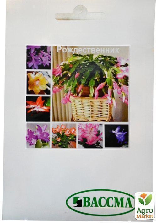 Рождественник ТМ "Вассма" 7шт