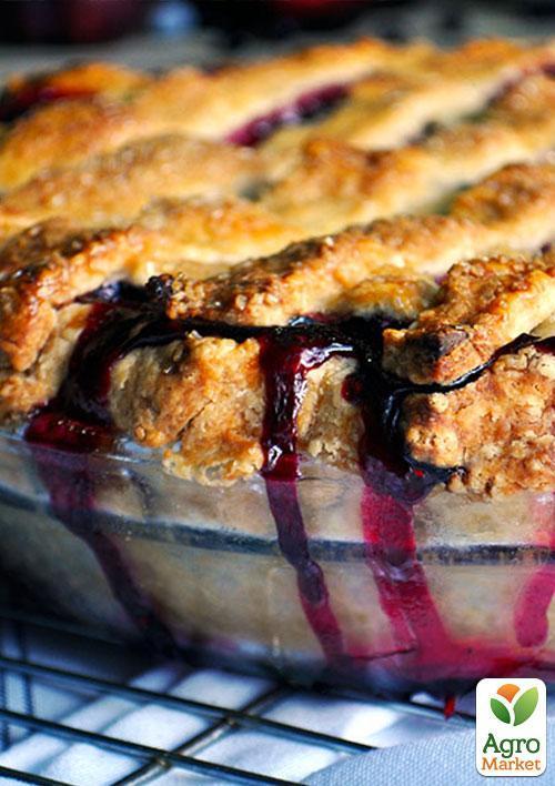 Эксклюзив! Слива темно-синяя "Галактика" (Galaxy) (канадская селекция, премиальный супер сочный сорт) - фото 6