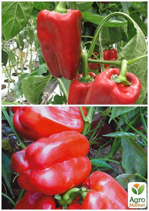 На развес Перец "Красный Гигант" ТМ "Весна" цена за 1г - фото 4